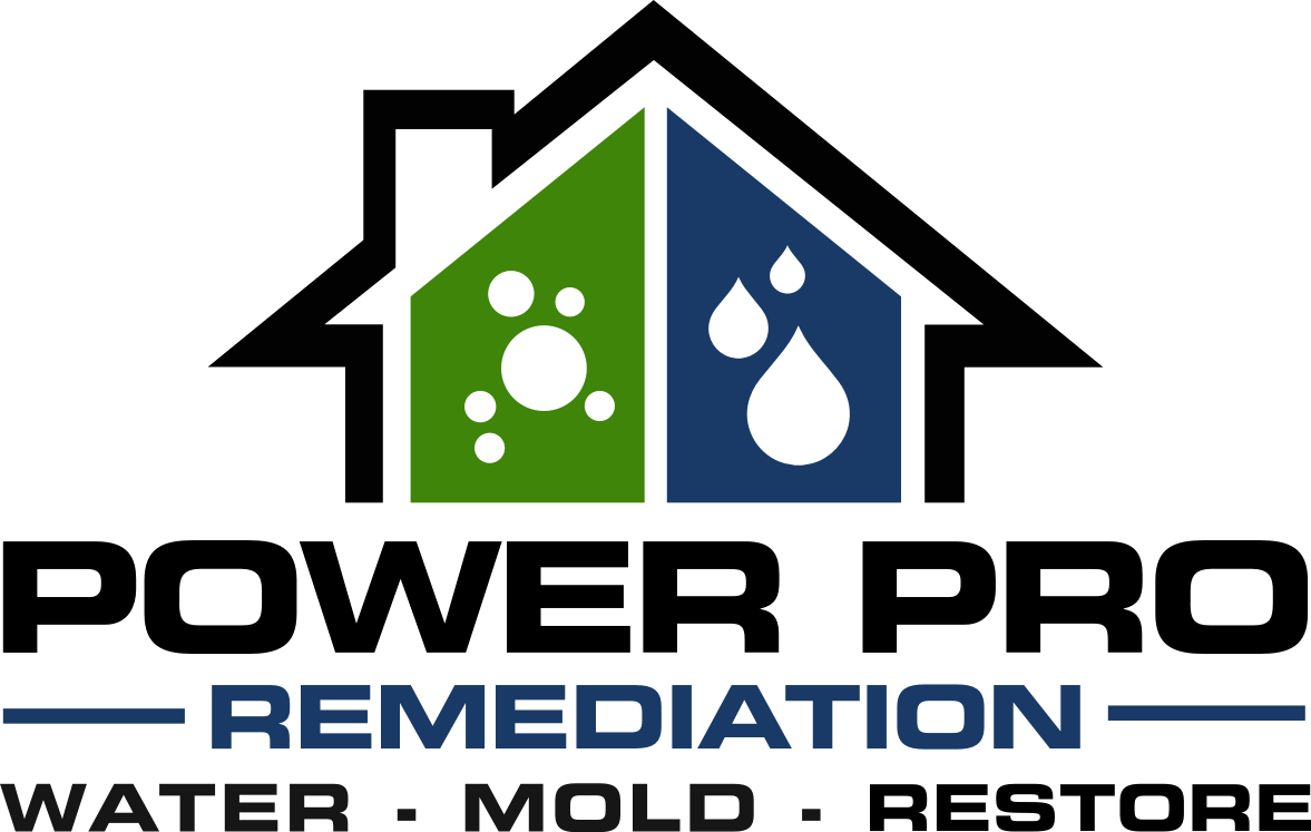 PowerPro Remediation logo