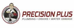 Precision Plus logo
